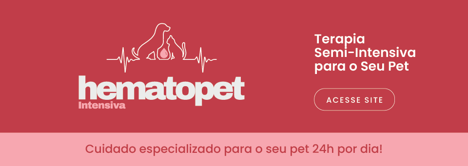 Banner vermelho da Hematopet com chamada para terapia semi-intensiva 24h para pets.